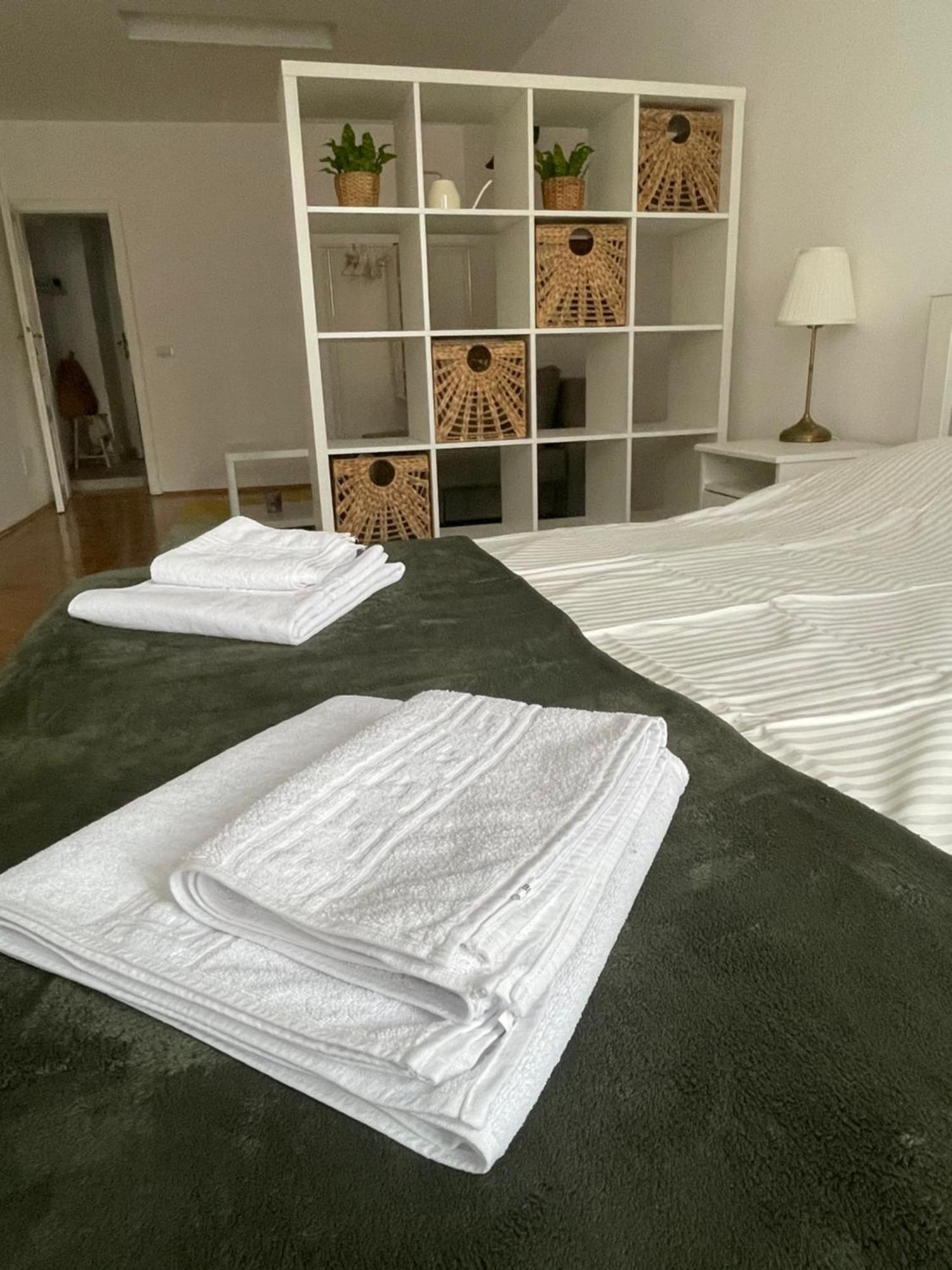 Cozy Stay Brasov Bagian luar foto